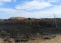 Paura finita alla Cittadella universitaria di Monserrato: incendio domato e nessun ferito