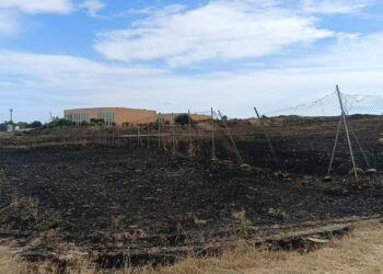 Paura finita alla Cittadella universitaria di Monserrato: incendio domato e nessun ferito