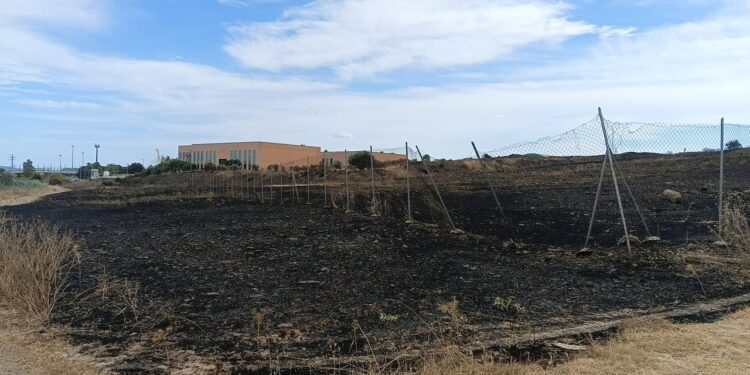 Paura finita alla Cittadella universitaria di Monserrato: incendio domato e nessun ferito