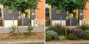 Via Dante, dopo il caso dell’aiuola interviene l’assessora Luisa Giua Marassi: “Verificherò subito una procedura semplificata”