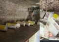 Acquista una casa all’asta e vi trova un piccolo tesoro in vecchie lire