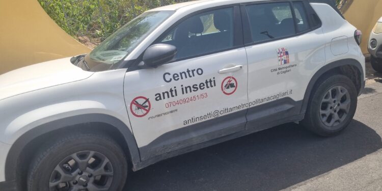 Perd’e Sali, maxi recupero di 20mila api in una casa: salvata un’intera colonia senza ricorrere alla disinfestazione