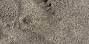 Buona estate al Poetto, trovate anche oggi nuove microsfere di plastica sulla spiaggia: prosegue l’allarme ambientale