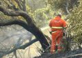 Teulada per ore sotto scacco del fuoco, due Canadair in azione: “Ecco come noi volontari, in prima linea, abbiamo salvato i cittadini”