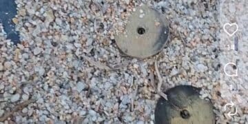 Santa Margherita di Pula, ogni sera pulisce la spiaggia: “Lo fa per senso civico”