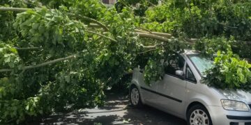 Paura a Quartu, albero crolla sulle auto parcheggiate