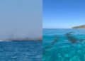 Mari Pintau, prima una barca malfunzionante e poi la scia di olio in acqua: lo scempio nel video dei nostri lettori