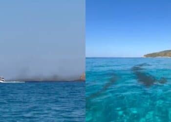 Mari Pintau, prima una barca malfunzionante e poi la scia di olio in acqua: lo scempio nel video dei nostri lettori