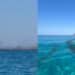 Mari Pintau, prima una barca malfunzionante e poi la scia di olio in acqua: lo scempio nel video dei nostri lettori