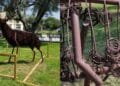Uta, il cervo arrugginito per Tore Ena rimosso dal centro del paese