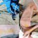 Cagliari, una discarica sul fondale a poca distanza da Marina Piccola: decine di sacchi con spazzatura di ogni genere