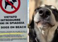Pula, cani al mare solo la notte o la mattina prima delle 8, scatta la protesta degli animalisti: “Loro non lasciano spazzatura in spiaggia”