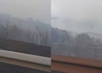 Cento ettari in fumo, evacuazioni, animali bruciati vivi e aziende distrutte: una distesa nera ad Arzana, Elini e Ilbono