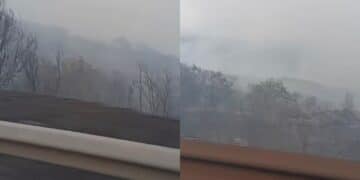 Cento ettari in fumo, evacuazioni, animali bruciati vivi e aziende distrutte: una distesa nera ad Arzana, Elini e Ilbono