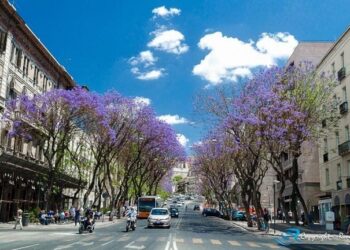 Cagliari, rissa nel centro storico: sfiorata una donna da una lattina lanciata da un uomo contro l’avversario