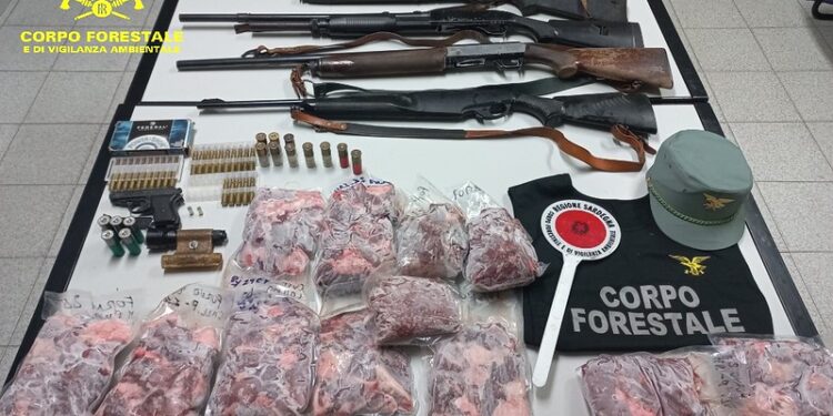 Denunciato un bracconiere a Quartu: in casa armi, munizioni, torce per caccia notturna e 20 kg di carne di cinghiale