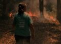 Pimentel, il fuoco minaccia il giardino dei tulipani