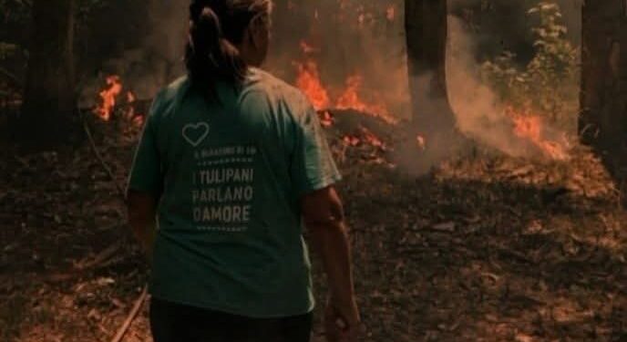 Pimentel, il fuoco minaccia il giardino dei tulipani