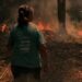 Pimentel, il fuoco minaccia il giardino dei tulipani