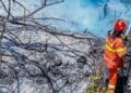 Morto 50 anni fa per proteggere il territorio dalle fiamme: Villacidro ricorda il forestale Nino Muntoni