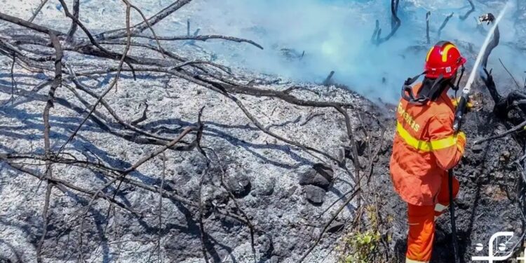 Morto 50 anni fa per proteggere il territorio dalle fiamme: Villacidro ricorda il forestale Nino Muntoni