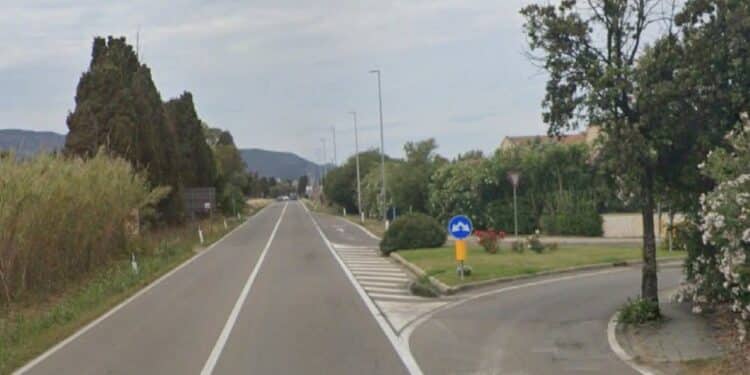 Velocità e mancato soccorso lungo la sp 91 a Capoterra: cane falciato da un’auto in corsa