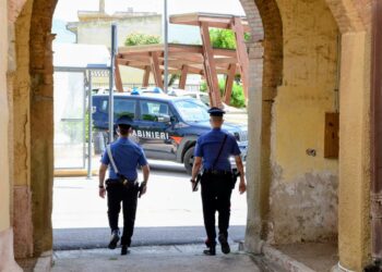 Coltivazione e detenzione di stupefacenti a Narcao, denunciato un operaio 40enne