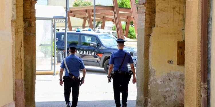 Coltivazione e detenzione di stupefacenti a Narcao, denunciato un operaio 40enne