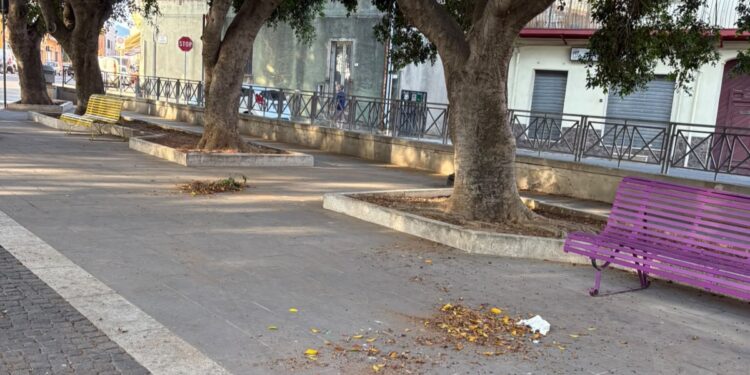 Capoterra, deiezioni canine abbandonate in mezzo alla piazza e anziani aggrediti dalle pulci