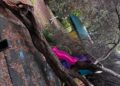 Cagliari, crolla un grosso albero sull’area giochi della scuola di via del Sestante