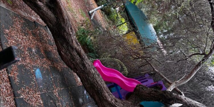 Cagliari, crolla un grosso albero sull’area giochi della scuola di via del Sestante
