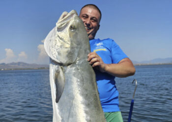 Sant’Antioco, pesca da record per Francesco Cossu: catturata una leccia amia di 25 kg