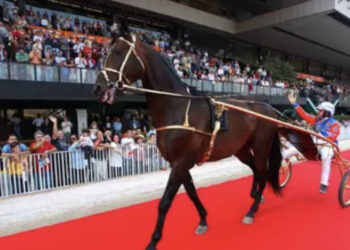 Addio a Varenne, il cavallo italiano più forte della storia: aveva 31 anni