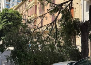 Cagliari, caduto un grosso albero in viale Trieste