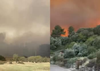 Brucia il cuore della Sardegna: da Arzana a da Elini le immagini del fuoco che divora uno dei polmoni verdi dell’Isola