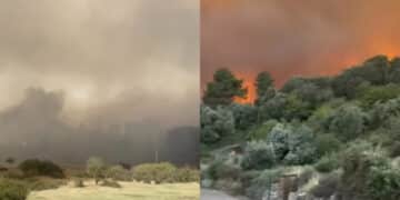 Brucia il cuore della Sardegna: da Arzana a da Elini le immagini del fuoco che divora uno dei polmoni verdi dell’Isola