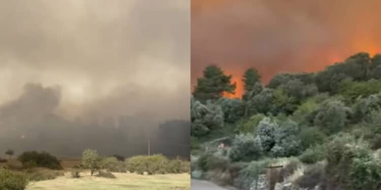 Brucia il cuore della Sardegna: da Arzana a da Elini del fuoco che divora uno dei polmoni verdi dell’Isola