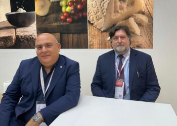 Pecorino Romano, tre borse di studio per formare i manager della filiera: c’è tempo fino al 31 agosto per candidarsi