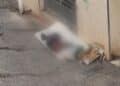 Cagliari, dorme da giorni in strada, sopra un materasso di fortuna e un cuscino arrotolato