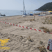 Cardedu, si schiude un nido di Caretta caretta: la Forestale salva e protegge le piccole tartarughe