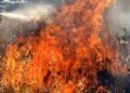 Emergenza incendi in Sardegna: “Perché non puntare prima sulla prevenzione?”