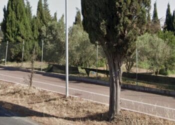Assemini, si nasconde tra gli alberi della pista ciclabile e mostra le parti intime alle donne: attenti al maniaco