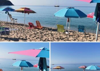I cafoni delle spiagge in azione anche a Ferragosto: ombrelloni e spiaggine segnaposto occupano tutto