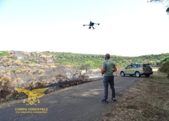 Sardegna, appicca il fuoco e si allontana in auto: agricoltore individuato dalla Forestale