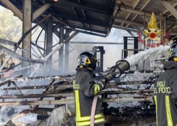 Assemini, vegetazione in fiamme a Macchiareddu: il fuoco minaccia un’azienda