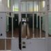 La tragedia nel carcere di Bancali tra le mani del Ministro della Giustizia