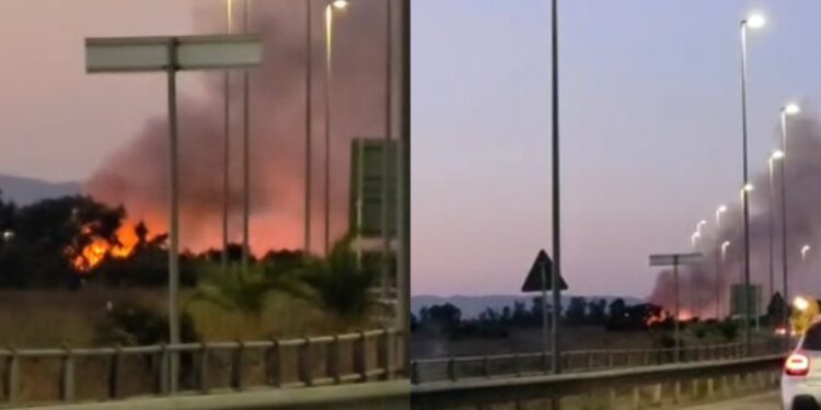 Serramanna, vasto incendio nella zona industriale: in fiamme alberi e sterpaglie