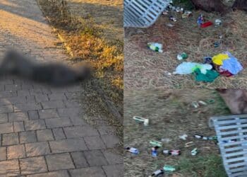 Quartu: al parco tra rifiuti e bottiglie di superalcolici c’è anche chi dorme in mezzo agli oleandri