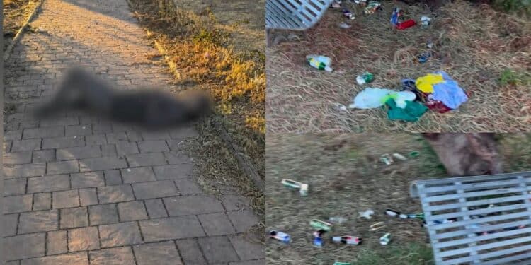 Quartu: al parco tra rifiuti e bottiglie di superalcolici c’è anche chi dorme in mezzo agli oleandri