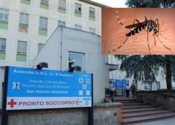 San Gavino Monreale, deceduto anche il secondo paziente positivo alla West Nile